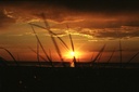 Закат в Рижском заливе